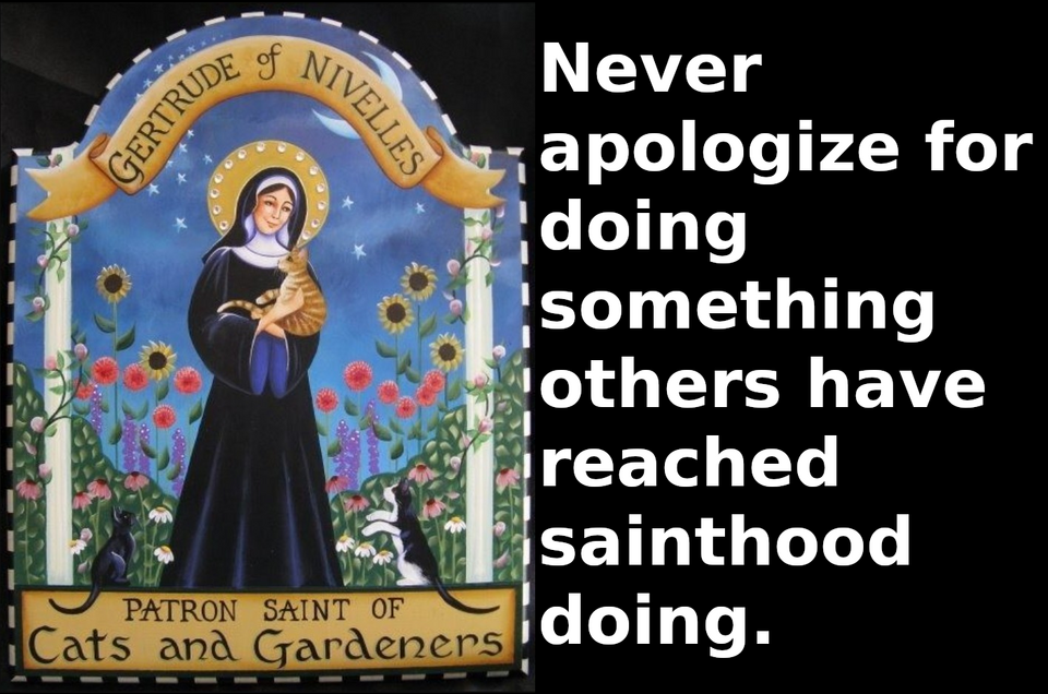 Why do people feel the need to apologize for doing something others have reached Sainthood doing?